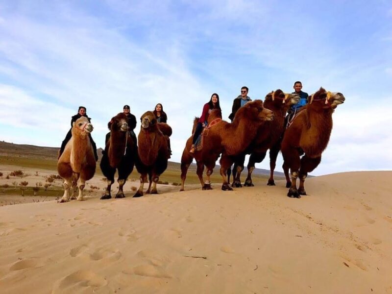 Ulaanbaatar: Semi-Gobi Desert Day Trip & Camel Ride - Authentic Reviews from Travelers