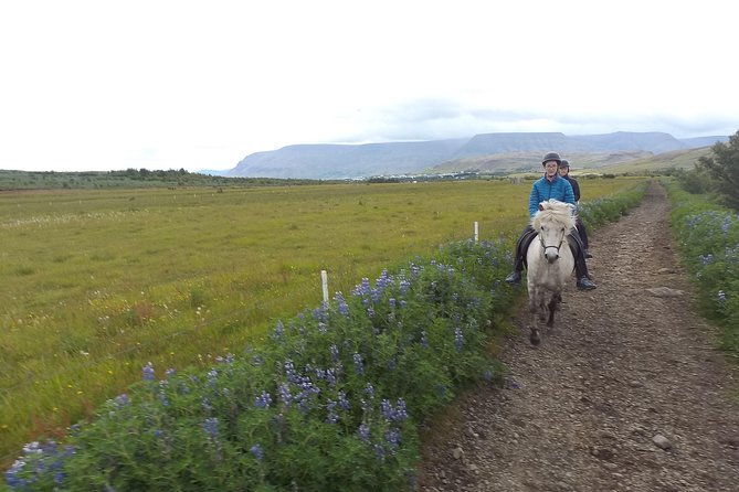 Ulfarsfell Mountain Private Horse-Riding Tour From Reykjavik - Pricing and Booking Details