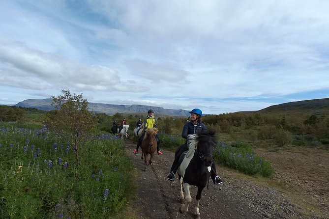 Ulfarsfell Mountain Private Horse-Riding Tour From Reykjavik - What To Expect