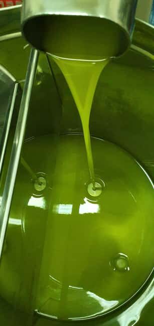 Uljara sv. Ivan Vodice: Olive Oil Tasting and Oil Mill Tour - FAQs