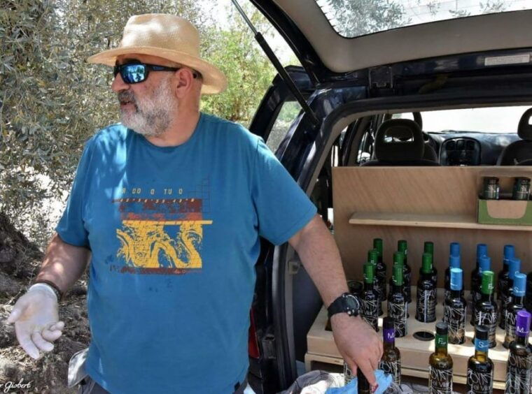 Ulldecona: Guided Tour of the Millenary Olive Trees of Arión - Olive Oil Tasting Experience