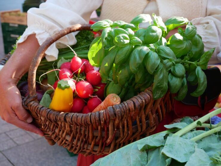 Ulm: Guided Tour Through the Weekly Market With Tasters - Reservation Details