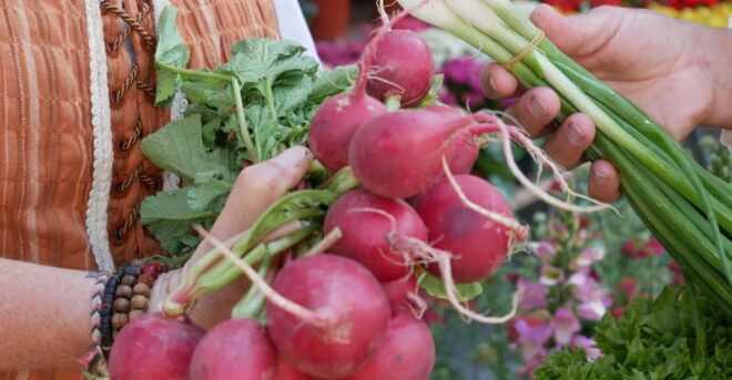 Ulm: Guided Tour Through the Weekly Market With Tasters - Accessibility and Restrictions