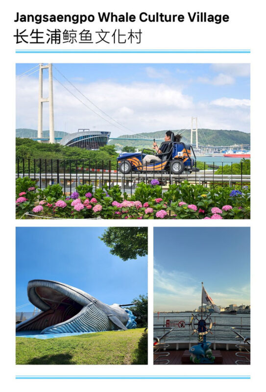 Ulsan Coastal Cruise & Tongdosa Temple Full-Day Tour - Tongdosa’s quieter hour
