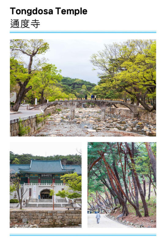 Ulsan Coastal Cruise & Tongdosa Temple Full-Day Tour - The cruise question matters