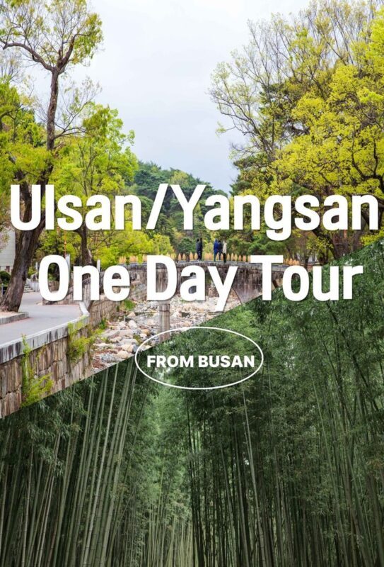 Ulsan Coastal Cruise & Tongdosa Temple Full-Day Tour - Getting from Busan and planning the day