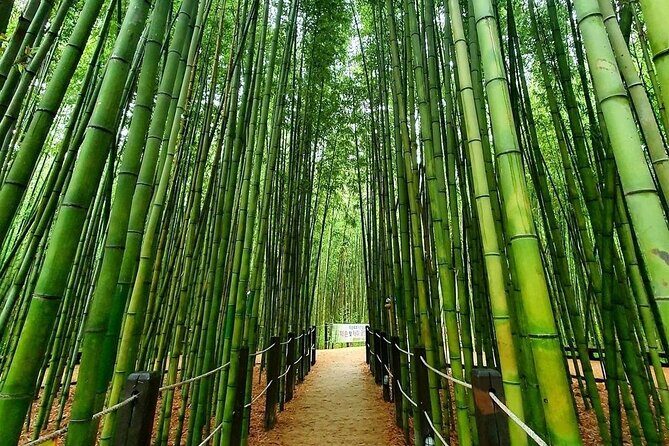 Ulsan Full Day Private Car Tour from Busan with a Certified Guide - Final Thoughts  