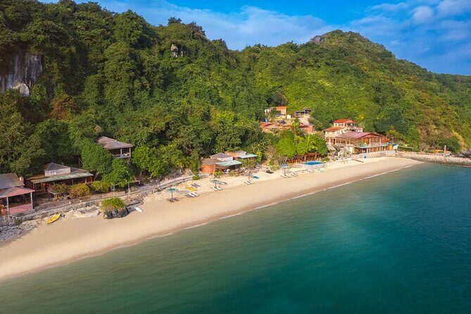 Ultimate 3-Day Oasis Cruise With Paradise Island Adventure - Introduction