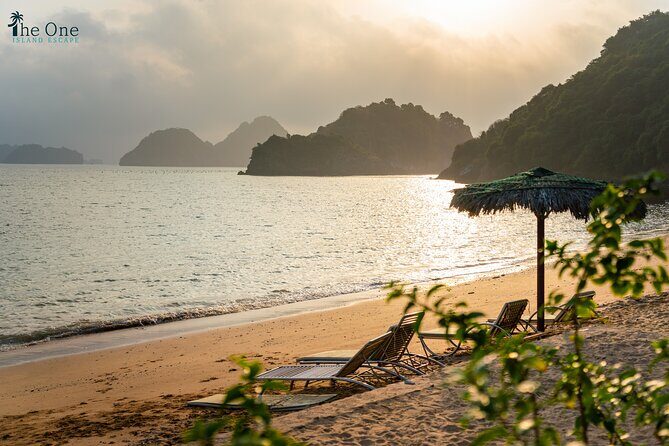 Ultimate 3-Day Oasis Cruise With Paradise Island Adventure - The Sum Up