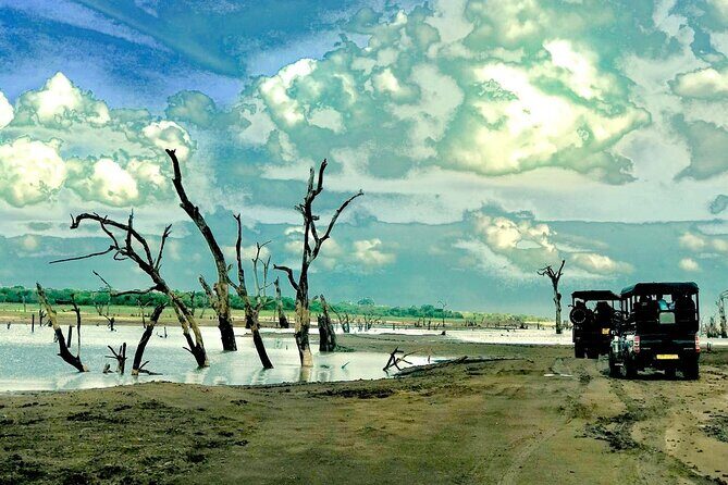 Ultimate 8-Day Sri Lanka Adventure: Private Guided Tour - An In-Depth Look at the 8-Day Sri Lanka Tour