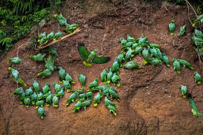 Ultimate Adventure: Explore Amazon's Breathtaking Wonders - Traveler Reviews and Ratings