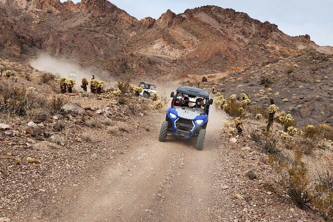 Ultimate Adventure: RZR + Ghost Town + Gold Mine + Games + Lunch - Good To Know  