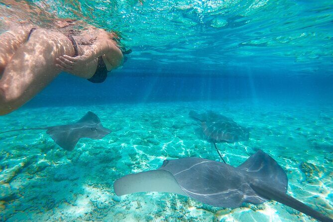 Ultimate Adventure with our Private One Day Komodo Tour - Practical Details: What Makes This Tour Valuable