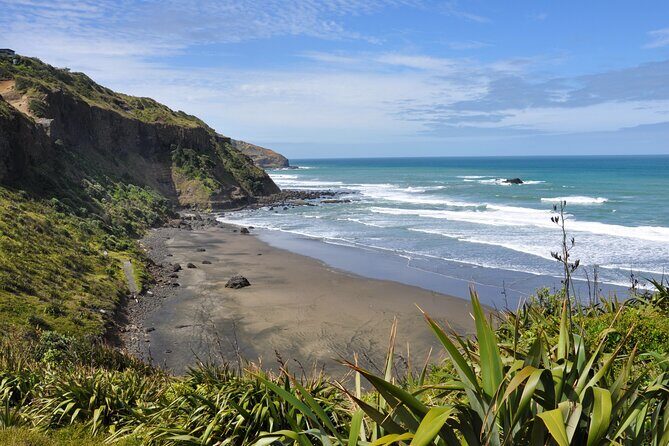 Ultimate Auckland Experience Full Day Tour with Brewery Lunch - The Sum Up