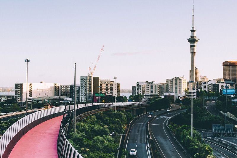 Ultimate Auckland Full Day Tour - A full day that links coast and city