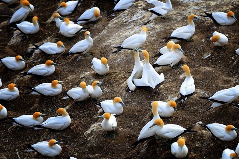 Ultimate Auckland Full Day Tour - Lunch and the small comforts that shape the day
