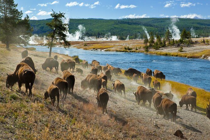 Ultimate Audio Tours: Yellowstone, Glacier, Grand Teton & Banff - Final Thoughts