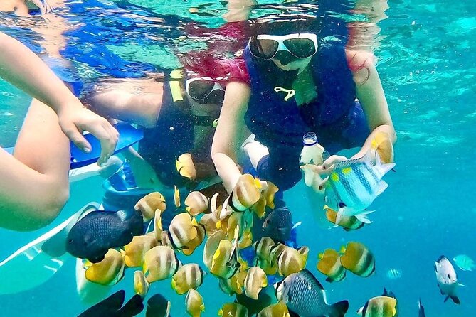 Ultimate Bali Snorkeling Tour - Equipment and Gear Included