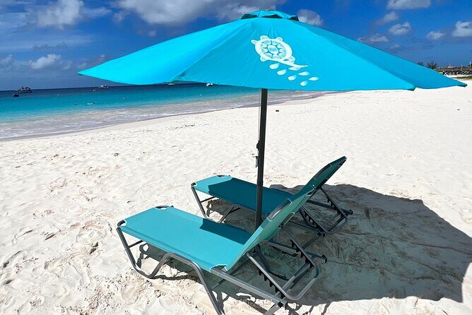 Ultimate Barbados Beach Day And Snorkel Cruise - The Sum Up