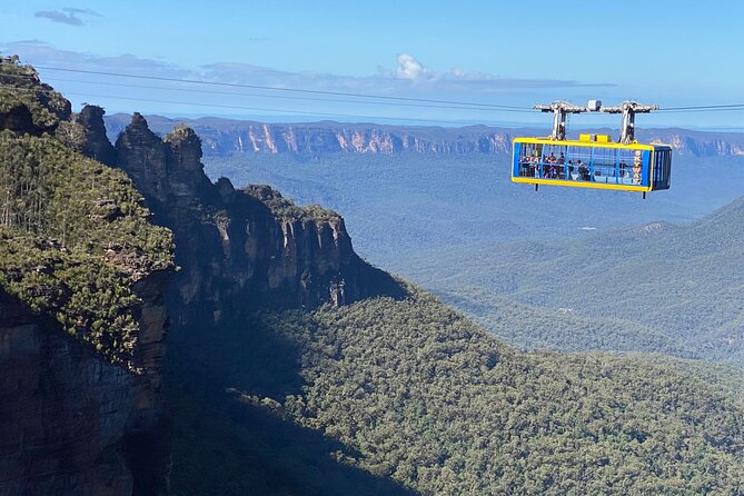 Ultimate Blue Mountains Private Tour With Scenic World and Wildlife Park - Viator Help Center and Product Code