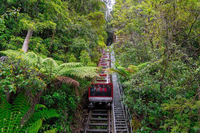 Ultimate Blue Mountains, Scenic World, Zoo & Lincoln's Rock Tour - The Starting Point: Echo Point Lookout