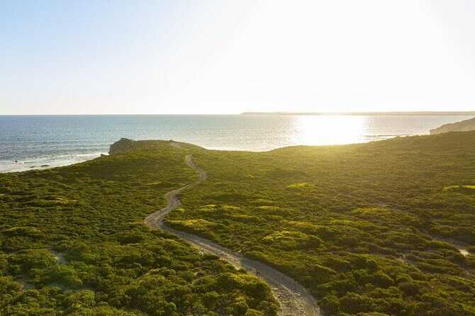Ultimate Buggy Tour in Kangaroo Island - What Makes the Kangaroo Island Buggy Tour Special?