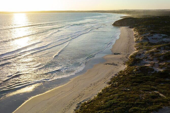 Ultimate Buggy Tour in Kangaroo Island - Who Will Love This Tour?