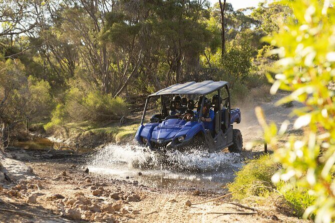 Ultimate Buggy Tour in Kangaroo Island - The Sum Up