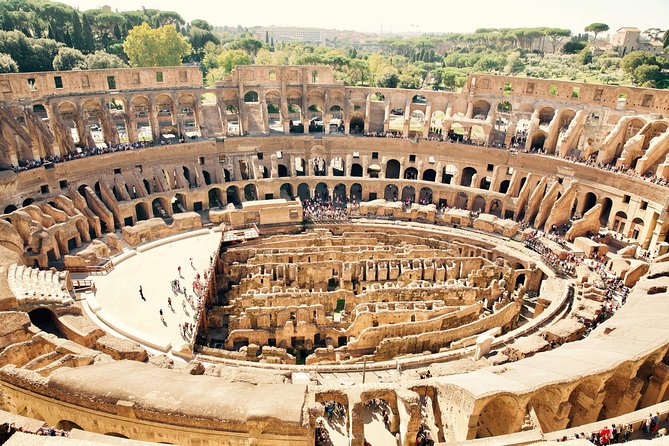 ULTIMATE Colosseum With the Exclusive Gladiators Entrance - Feedback on Tour Guides and Educational Value