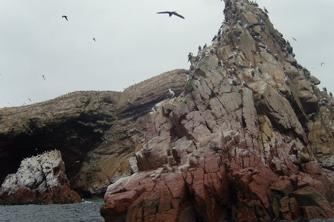 Ultimate Comfort: Lima to Huacachina, Ballestas and Vineyard - Additional Information