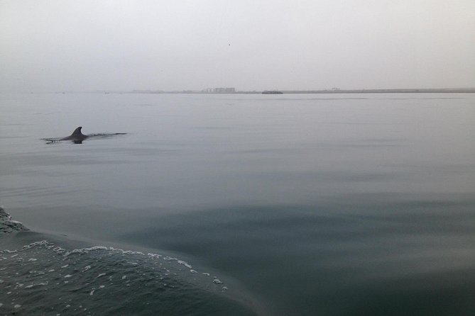 Ultimate Comfort: Lima to Huacachina, Ballestas and Vineyard - Sample Menu