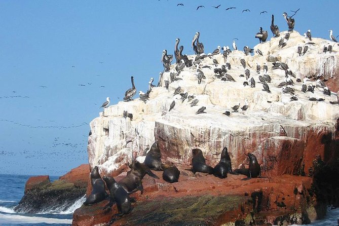 Ultimate Comfort: Lima to Huacachina, Ballestas and Vineyard - Common Questions