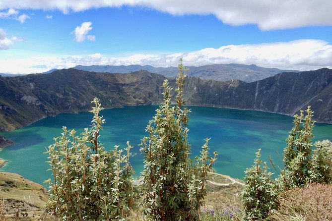 Ultimate Ecuador Journey: Andes, Amazon, Galapagos - Accommodation Details