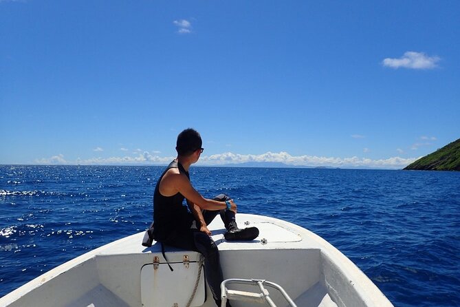 Ultimate Encounter Snorkel With Sharks in Fiji - The Sum Up