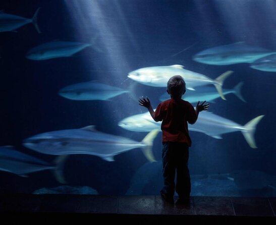 Ultimate Family Adventure: Cape Town and Beyond - Good To Know