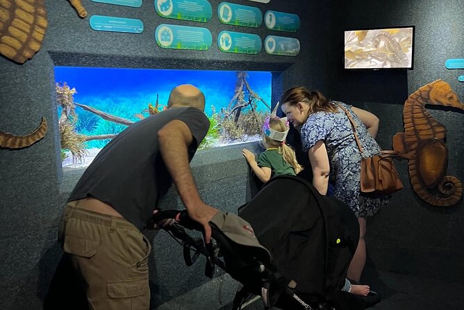 Ultimate Family Adventure: Cape Town and Beyond - Accessibility Notes