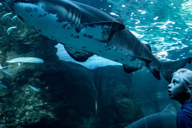 Ultimate Family Adventure: Cape Town and Beyond - Contact and Rescheduling