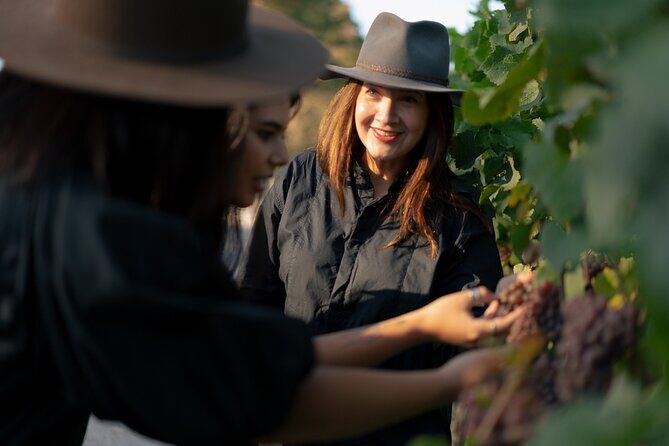 Ultimate Food and Wine Lovers Escape - Authentic Insights from Reviews