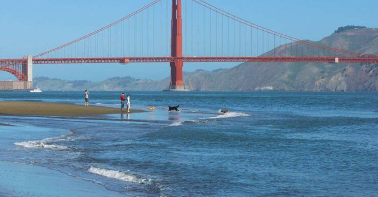 Ultimate Golden Gate Bridge & SF Bay Explorer Tour - Tour Highlights