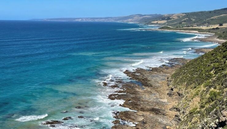ULTIMATE Great Ocean Rd Scenery Gourmet, 12apostles Daytrip - Trip Highlights