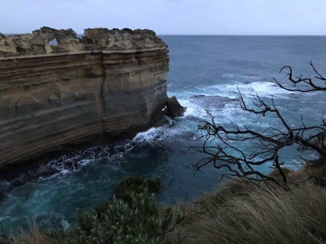 ULTIMATE Great Ocean Rd Scenery Gourmet, 12apostles Daytrip - Gourmet Experiences