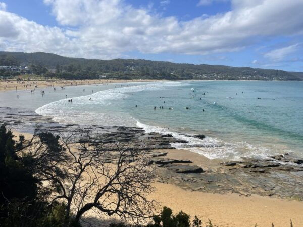ULTIMATE Great Ocean Rd Scenery Gourmet, 12apostles Daytrip - Customer Reviews