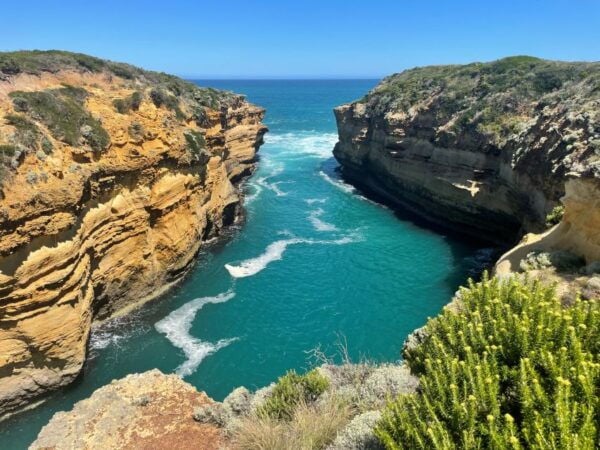ULTIMATE Great Ocean Rd Scenery Gourmet, 12apostles Daytrip - Common Questions