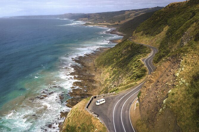 Ultimate Great Ocean Road Morning Escape Full Day Tour - Who is This Tour Best For?