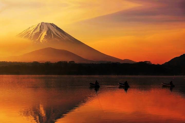 Ultimate Japan-2025 by Travel Talk - 14-Day Tokyo to Osaka Tour - Tokyo: gardens, shrines and the scramble of Shibuya