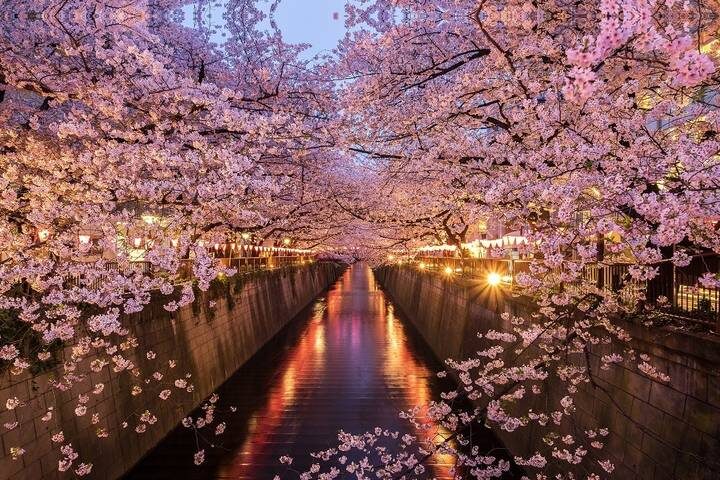 Ultimate Japan-2025 by Travel Talk - 14-Day Tokyo to Osaka Tour - Mount Koya: a temple night and an early start