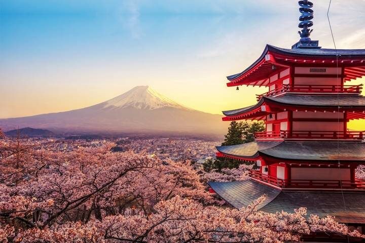 Ultimate Japan-2025 by Travel Talk - 14-Day Tokyo to Osaka Tour - Osaka: street food, markets and a final night