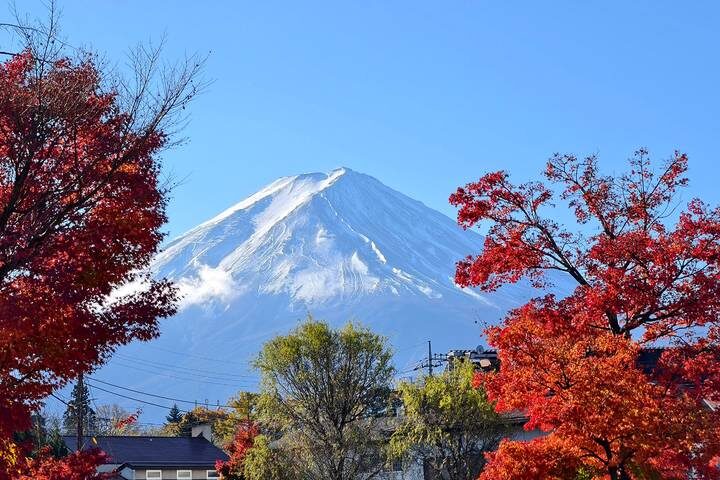 Ultimate Japan Honeymoon (Private Tailored) by Odynovo - 13-Day Tour - Private transfers help, but some days are self-guided