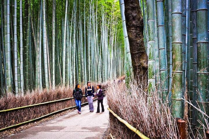 Ultimate Japan Honeymoon (Private Tailored) by Odynovo - 13-Day Tour - Should you book this tour?