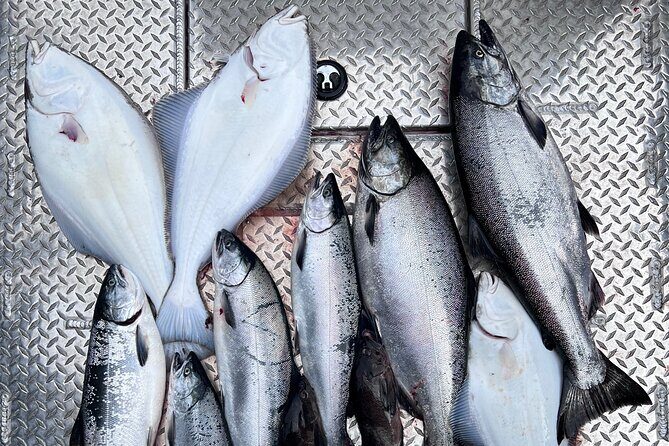 Ultimate Ketchikan Salmon and Halibut Fishing Adventure - Good To Know